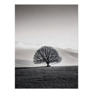 Minimalist Solitary Tree Landscape   Black & White Poster