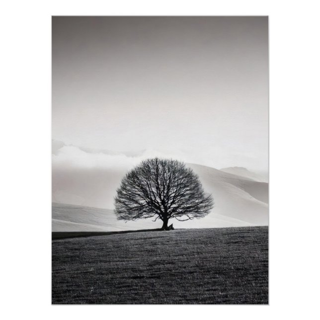 Minimalist Solitary Tree Landscape | Black & White Poster (Front)