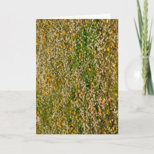 Minimalist Spring Floral Daisies Dandelions Card