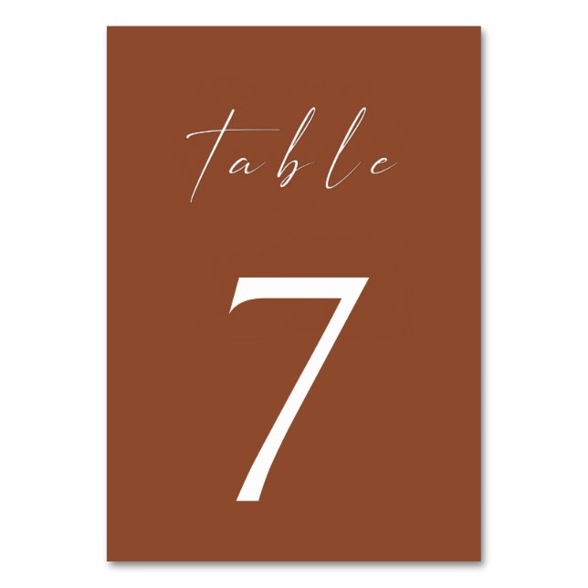 Minimalist Terracotta Burnt Orange Boho Table Number (Back)