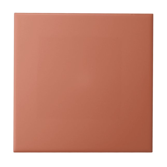 Minimalist terracotta Plain Solid Color Tile (Front)
