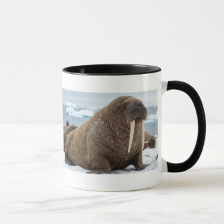 Minimalist Walrus Mug | Unique Animal Lover Gift
