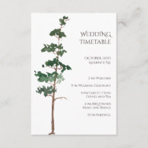 Minimalist Watercolor Spruce Wedding Timetable