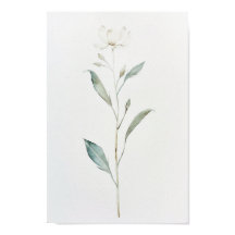 Minimalist White Watercolor Flower