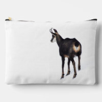 Minimalistic Alpine Chamois mountain goat on snow