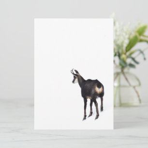 Minimalistic Alpine Chamois mountain goat on snow Invitation