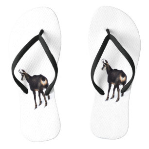 Minimalistic Alpine Chamois mountain goat on snow Jandals