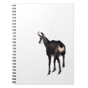 Minimalistic Alpine Chamois mountain goat on snow Notebook
