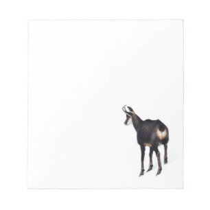 Minimalistic Alpine Chamois mountain goat on snow Notepad