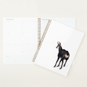 Minimalistic Alpine Chamois mountain goat on snow Planner