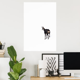 Minimalistic Alpine Chamois mountain goat on snow Poster