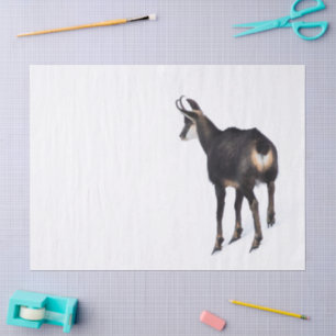Minimalistic Alpine Chamois mountain goat on snow Tissue Paper
