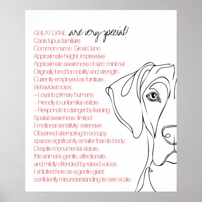 Minimalistic Great Dane Poster (Front)