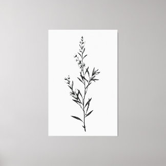 Minimalistic Monochrome Rosemary Sprig Sketch Canvas Print