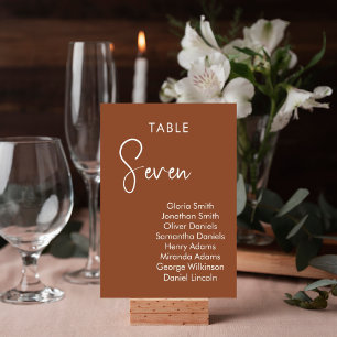 Minimalistic terracotta elegant table number card 