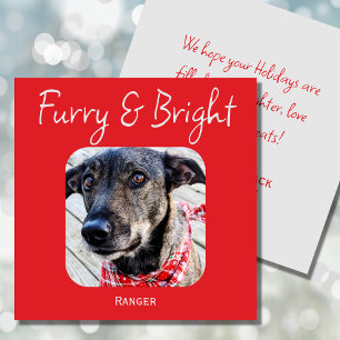 Minimimalistic Pet Photo Christmas Card