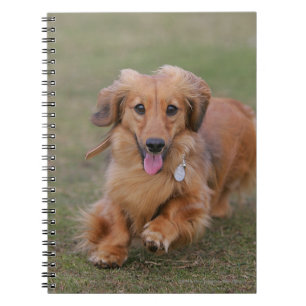 Miniture Dachshund Running Spiral Notebook
