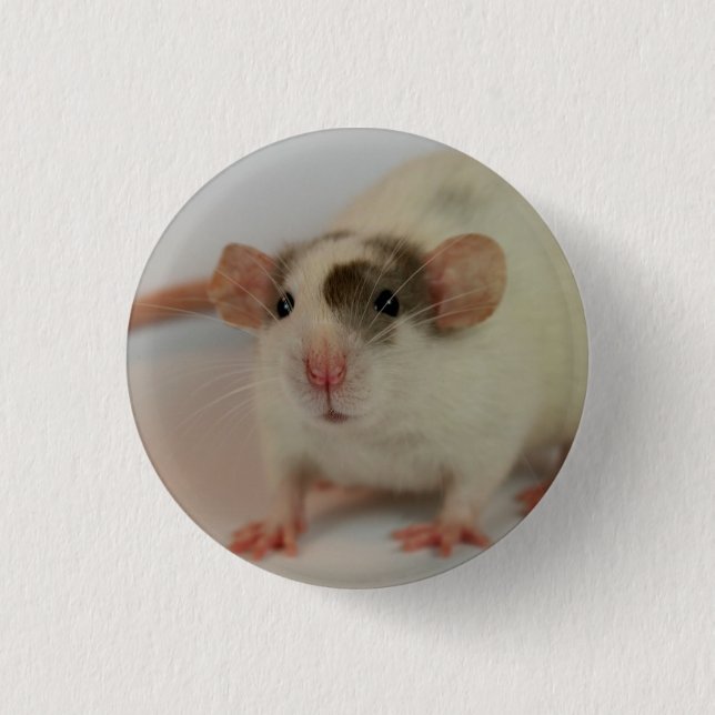 Mink dumbo Rat 3 Cm Round Badge (Front)