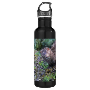 Mink Photo Closeup 710 Ml Water Bottle