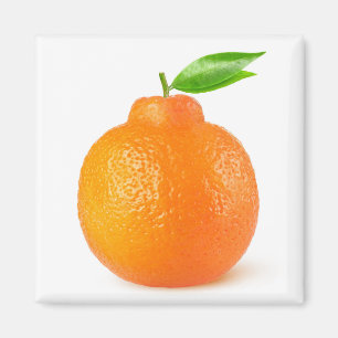 Minneola tangelo citrus fruit magnet