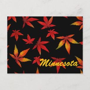 Minnesota Autumn Leaves Postcard