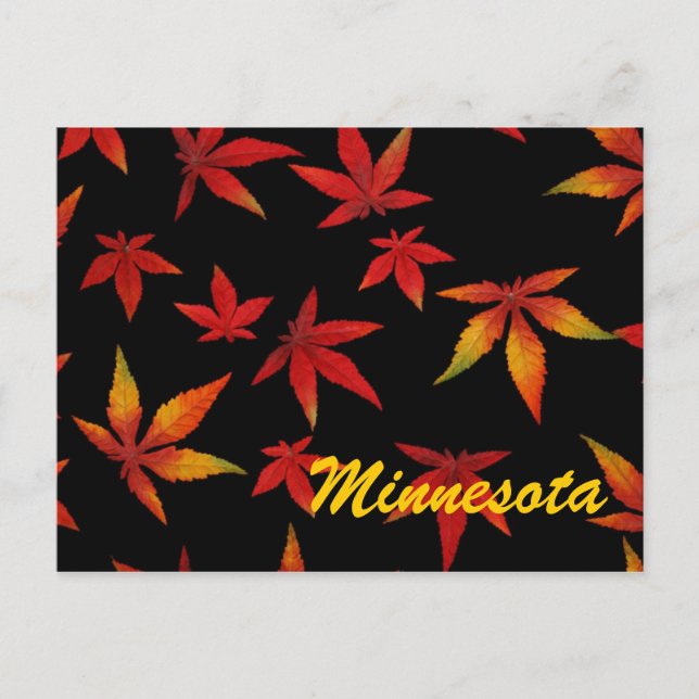 Minnesota Autumn Leaves Postcard (Front)