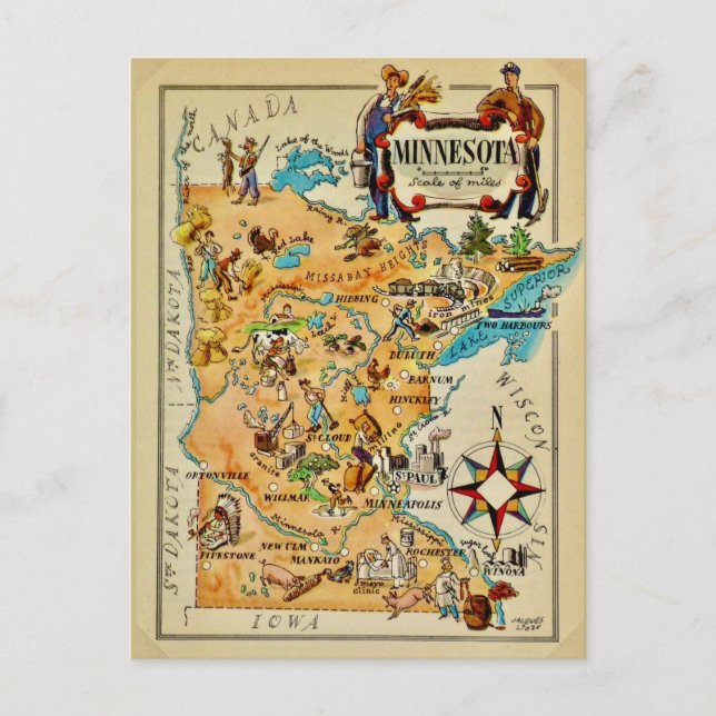 Minnesota Illustrated Map  Postcard (Front)