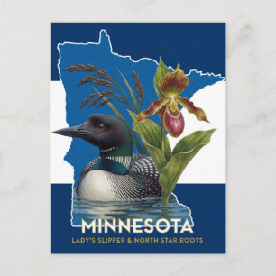 Minnesota Loon And Wildflower State Symbols Postcard