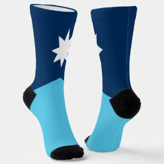 Minnesota new flag socks