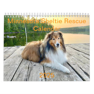 Minnesota Sheltie Rescue Calendar 2025