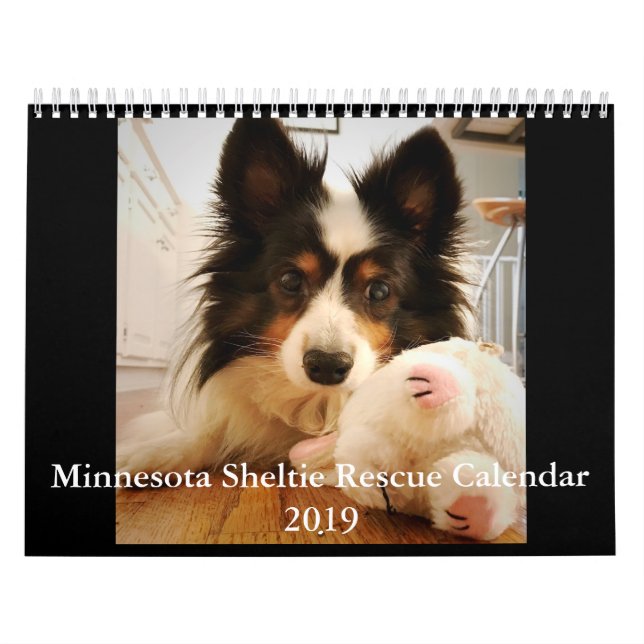 Minnesota Sheltie Rescue Calendar for 2019 (Cover)