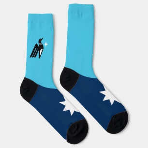 Minnesota State Flag Socks