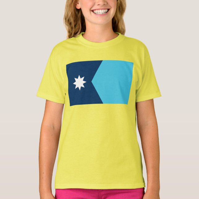 Minnesota State Flag T-Shirt (Front)