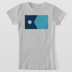 Minnesota State Flag T-Shirt