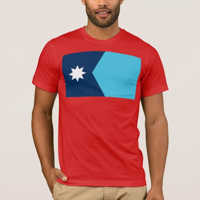 Minnesota State Flag T-Shirt (Front)