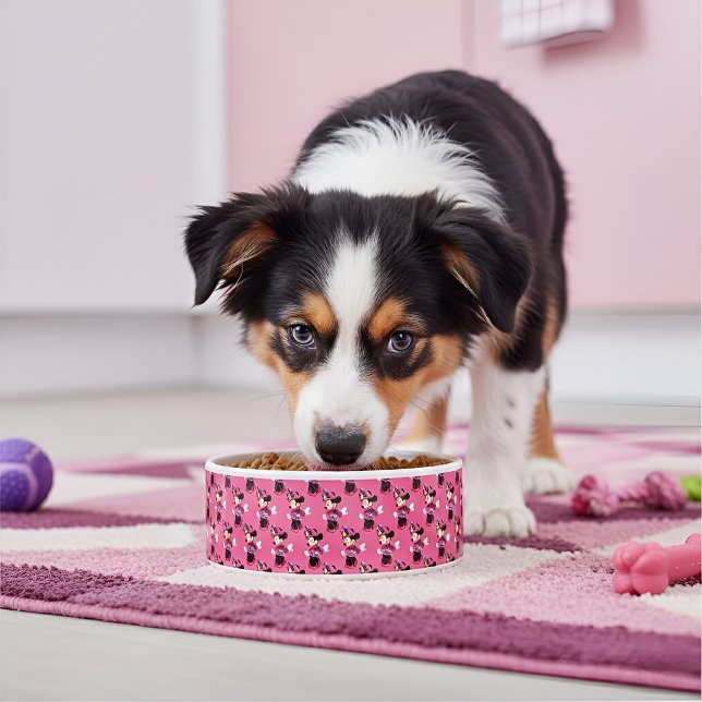 Minni Bowl (Creator Uploaded)