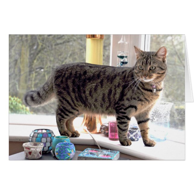 Minnie (Front Horizontal)