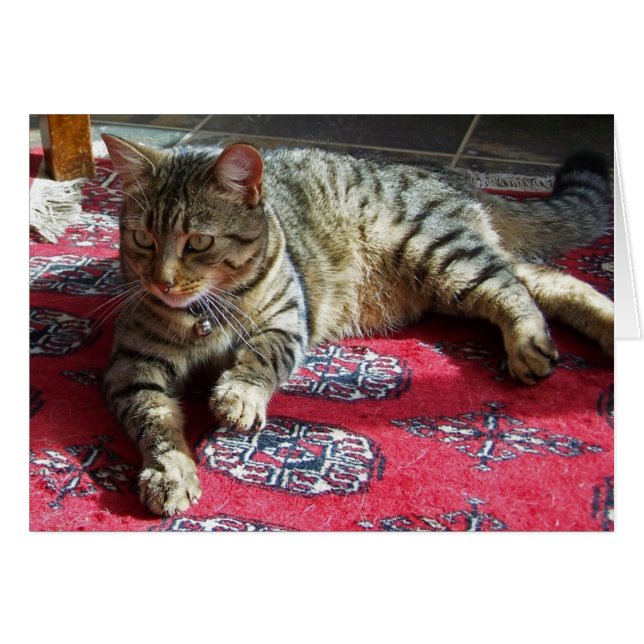 Minnie in Sunshine2 (Front Horizontal)