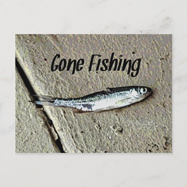 Minnow Bait "Gone Fishing" Postcard (Front)
