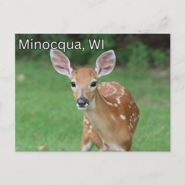Minocqua Wisconsin Postcard Souvenir (Front)