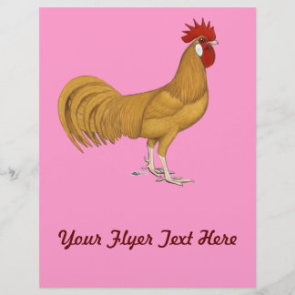 Minorca: Buff Rooster Flyer