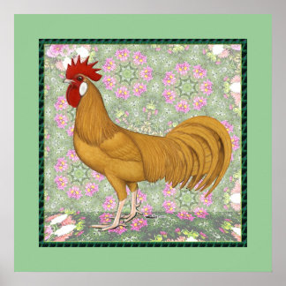 Minorca:  Old-fashioned Rooster Poster