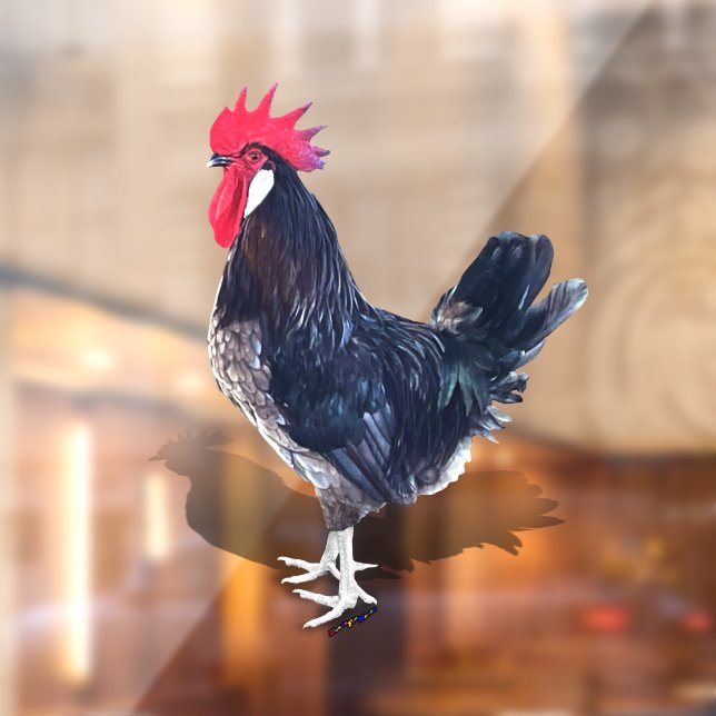 Minorca Rooster (Sheet 2)