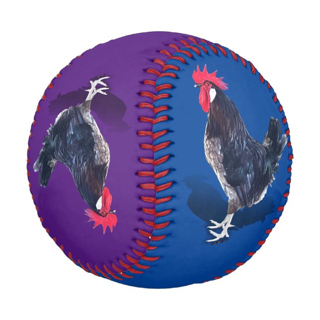 Minorca Rooster Baseball (Angled)