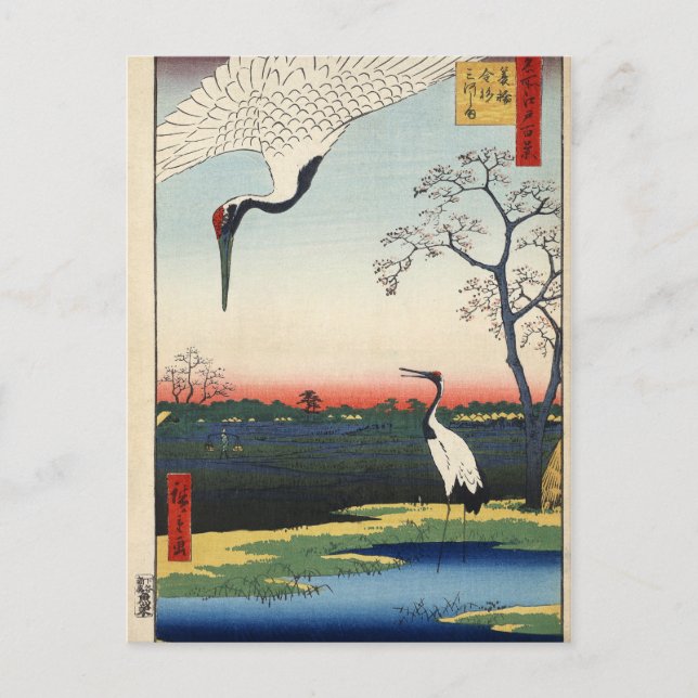 Minowa, Kanasugi, Mikawashima. Postcard (Front)