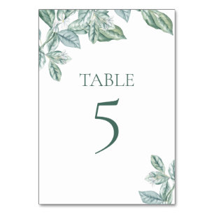 Mint Botanical pastel Table Number Card