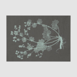 Mint & Charcoal Nature Study I Tissue Paper