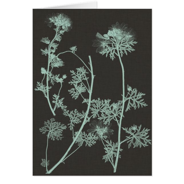 Mint & Charcoal Nature Study IV (Front)
