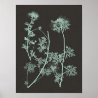 Mint & Charcoal Nature Study IV