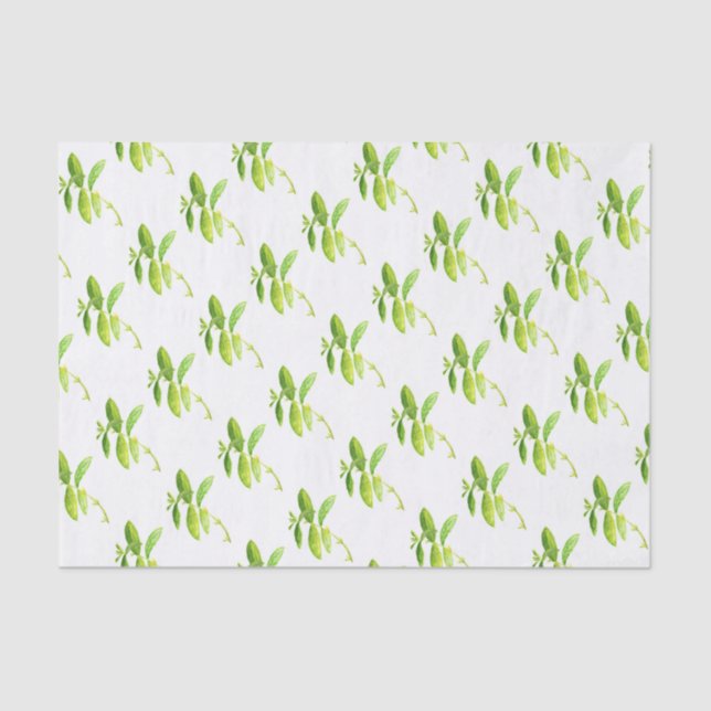 Mint herb Watercolor Greenery Mum Pattern  Tissue Paper (Front)